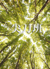 素材软件免费下载
